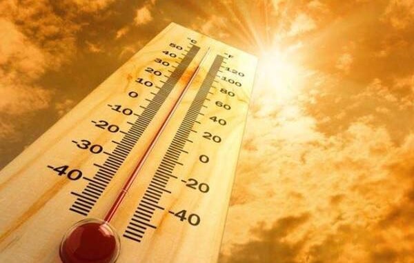 Cuaca Panas Seperti Neraka di Indonesia: BMKG Berikan Rekomendasi Penting